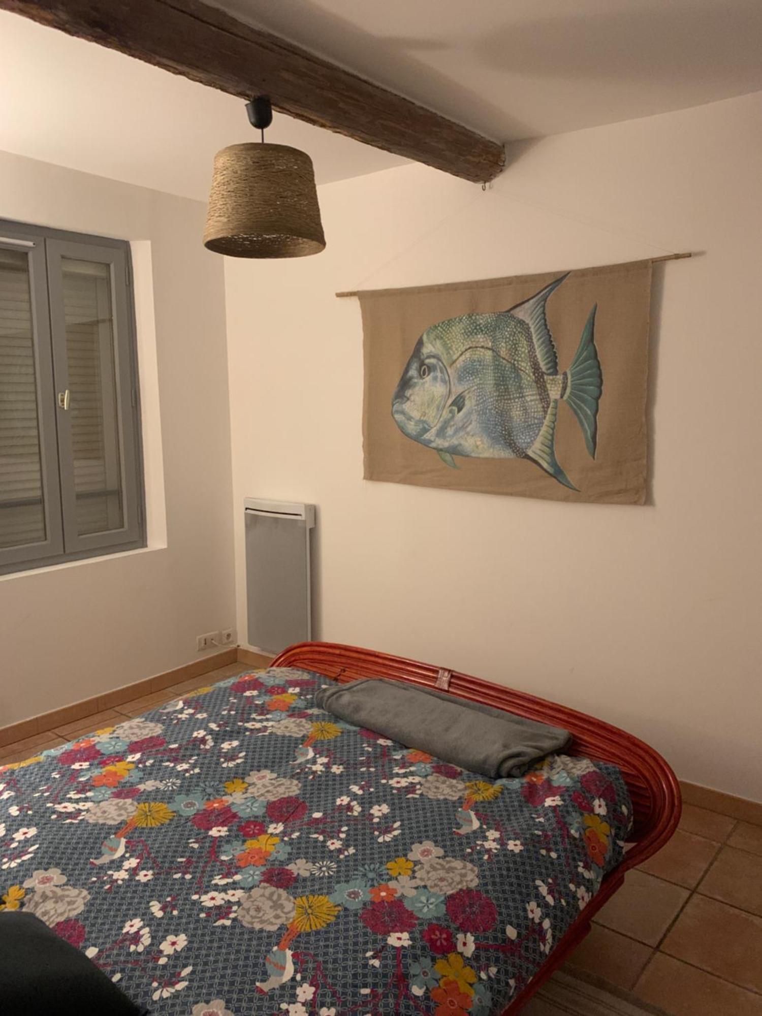 Duplex T3 Climatise Centre Terrasse Parking Payant